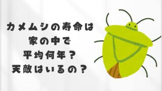 カメムシの寿命は家の中で 平均何年？ 天敵はいるの？